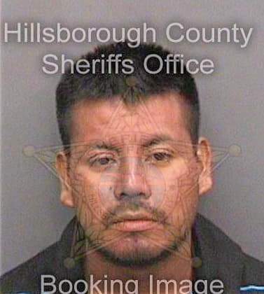 Lopezpedro Fermin - Hillsborough County, FL 