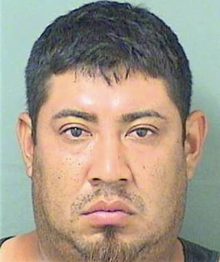 Cedillocedillo Jose - PalmBeach County, FL 