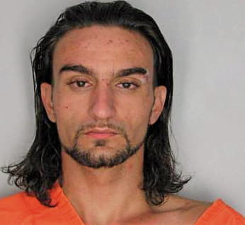 Johnson Michael - Hillsborough County, FL 