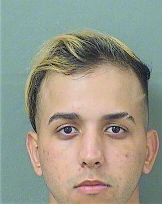 Perezlozada Miguel - PalmBeach County, FL 