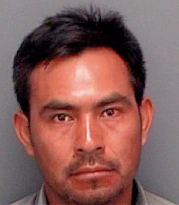 Vaquero Rogelio - Pinellas County, FL 