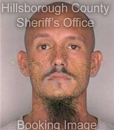 Lane Adam - Hillsborough County, FL 