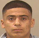 Sique Jose - Dallas County, TX 