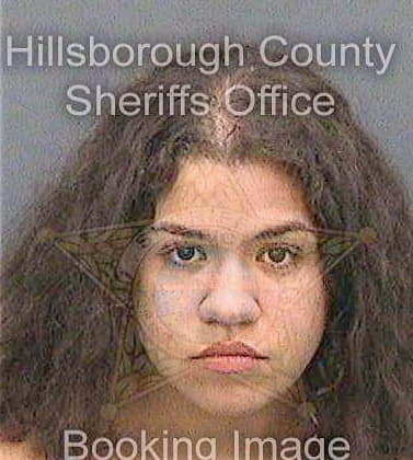Lazaro Nikole - Hillsborough County, FL 