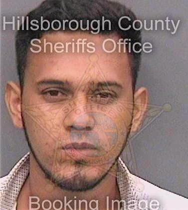 Hernandezvargas Santos - Hillsborough County, FL 