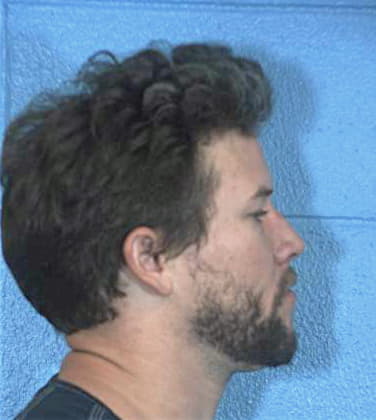 Lee Steven - Williamson County, TX 