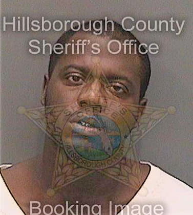 Robinson Eric - Hillsborough County, FL 