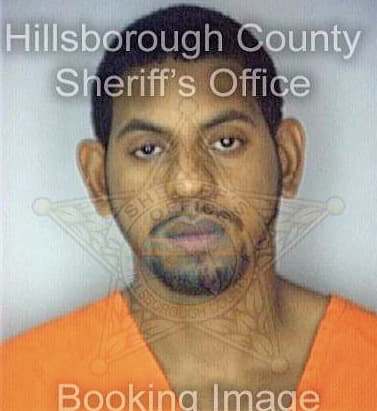 Williams Howard - Hillsborough County, FL 