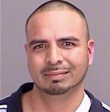 Pena Luis - Brazos County, TX 