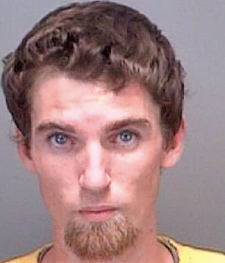 Lawrence Michael - Pinellas County, FL 