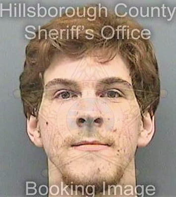 Paterson Patrick - Hillsborough County, FL 