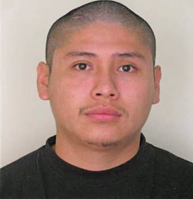 Delacruz Pedro - Hillsborough County, FL 