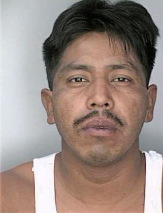 Sifuentes Ricardo - Hillsborough County, FL 