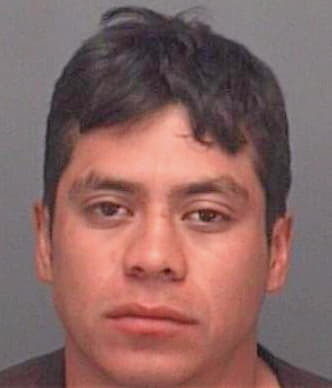 Sanchez Bautista - Pinellas County, FL 
