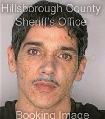 Santiago Elvis - Hillsborough County, FL 