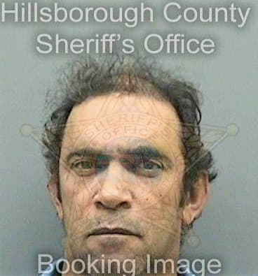 Martinezguzman Pedro - Hillsborough County, FL 