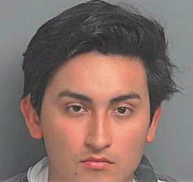 Araujo-Sanchez Sergio - Montgomery County, TX 
