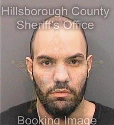 Torres Gamadiel - Hillsborough County, FL 
