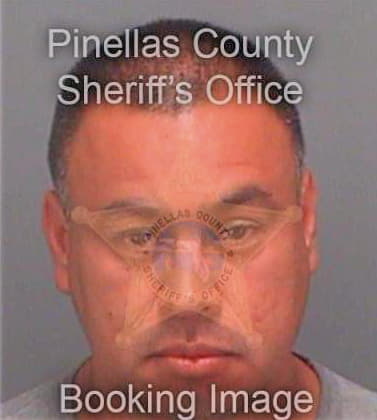 Sayas Gonzalo - Pinellas County, FL 