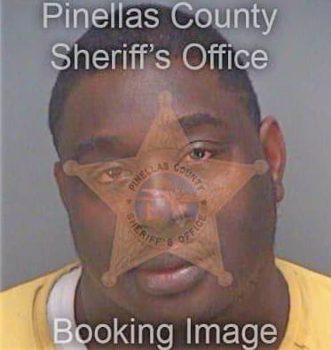 Reynolds John - Pinellas County, FL 