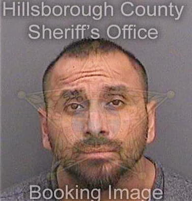 Rodriguezsilva Jose - Hillsborough County, FL 