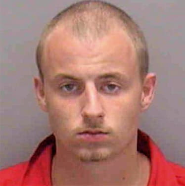 Carlson Stephen - Lee County, FL 