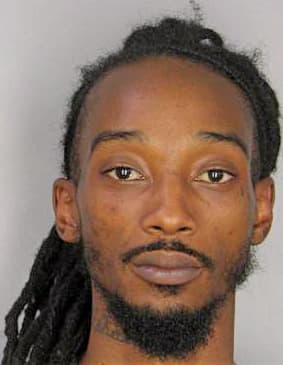 Lecount Bryan - Hillsborough County, FL 