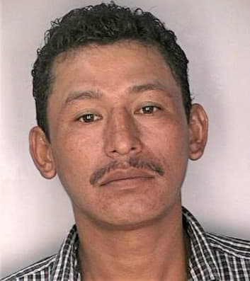 Rodriguez Custudio - Hillsborough County, FL 