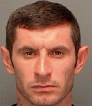 Mrdjenovic Dalibor - Pinellas County, FL 