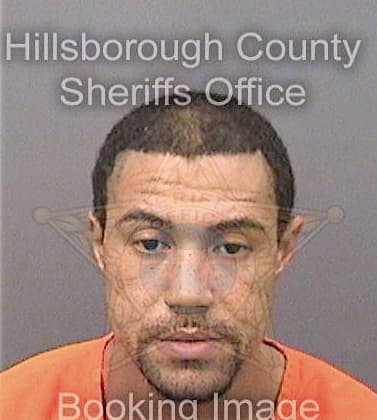 Hummel Donald - Hillsborough County, FL 