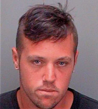 Williams Michael - Pinellas County, FL 