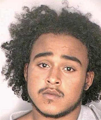 Baez Ramon - Hillsborough County, FL 