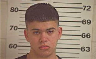 Lee Alan - Hidalgo County, TX 