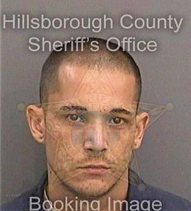 Schadler Daniel - Hillsborough County, FL 