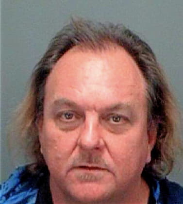 Thompson David - Pinellas County, FL 