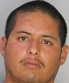 Diaz Jose - Hillsborough County, FL 