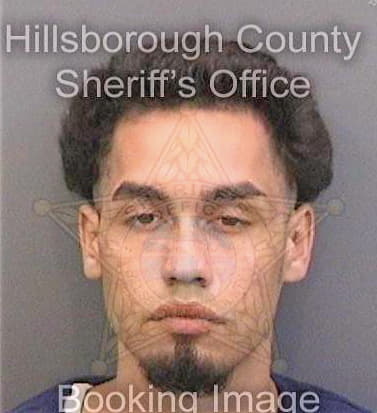 Colon Novean - Hillsborough County, FL 
