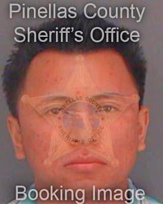 Coronamedina Alejandro - Pinellas County, FL 