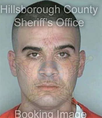 Gavirrafigueroa Ari - Hillsborough County, FL 