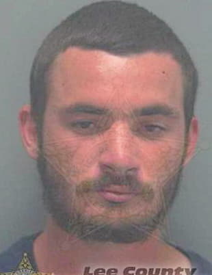 Towe Bradley - Lee County, FL 