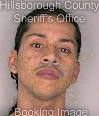 Moreno Pablo - Hillsborough County, FL 
