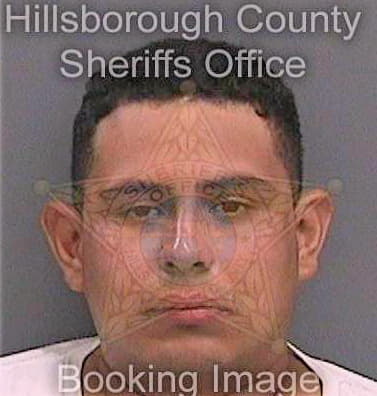 Estradarodriguez Favio - Hillsborough County, FL 