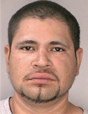 Dominguez Haanzeel - Hillsborough County, FL 