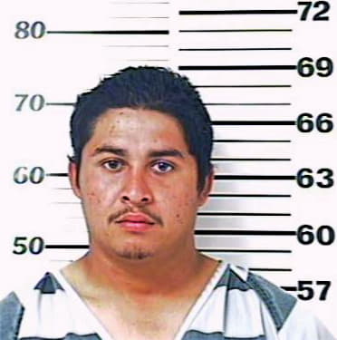 Rodas Hector - Henderson County, TX 