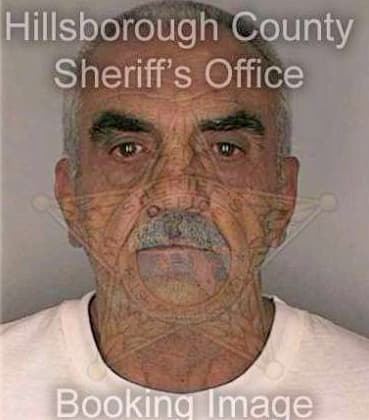 Desalvo Peter - Hillsborough County, FL 