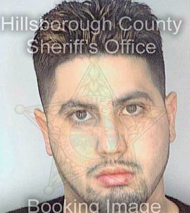 Dejesus Ronny - Hillsborough County, FL 
