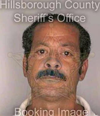 Domeneck Angel - Hillsborough County, FL 