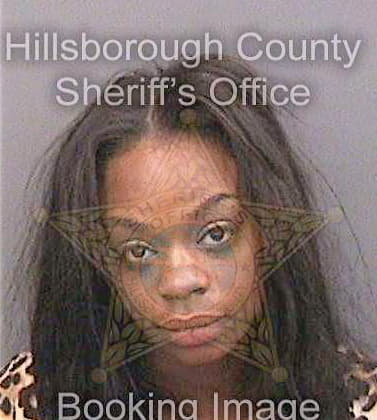 Mills Chenique - Hillsborough County, FL 