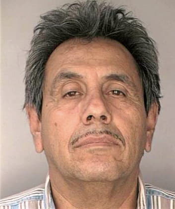 Lara Enrique - Hillsborough County, FL 
