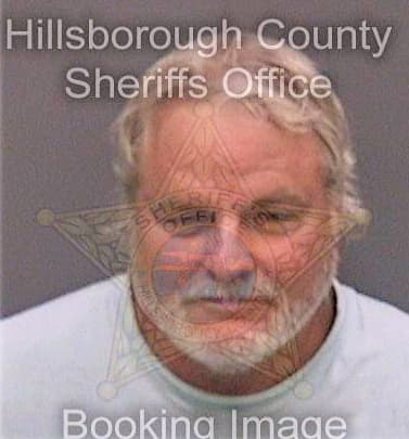 Mullis Michael - Hillsborough County, FL 